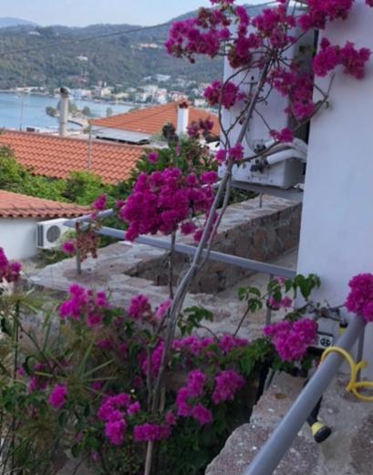 Veranda Blue - Poros Daire Poros Town Dış mekan fotoğraf